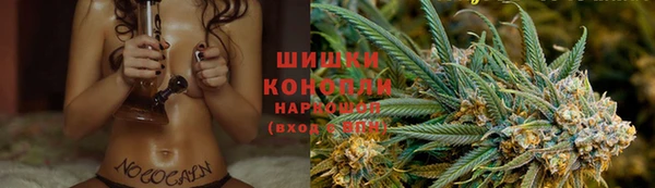 шишки Алексин