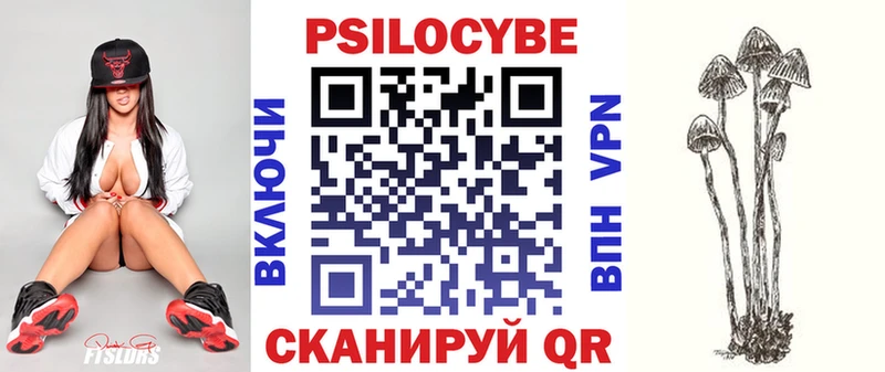 мега ссылка  Похвистнево  Псилоцибиновые грибы мицелий 